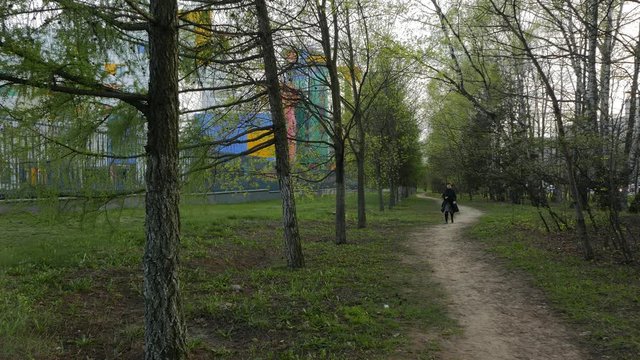 Woman Walking on a Path Surrounded Green Trees.