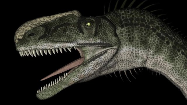 Animation of dinosaur Monolophosaurus gyrating 360 degree on black background