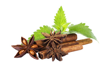 star anise cinnamon and peppermint