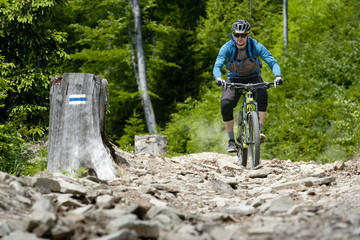 Man on mountain bike rides on stony trail in the forest.