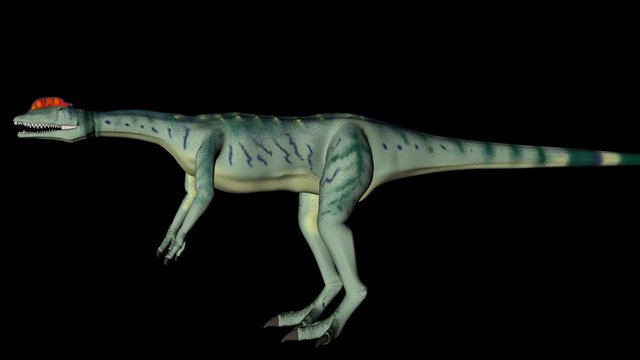Animation of dinosaur Dilophosaurus gyrating 360 degree on black background