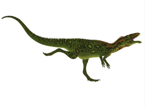 Masiakasaurus Side Profile - Masiakasaurus was a theropod dinosaur that lived in Madagascar during the Cretaceous period.