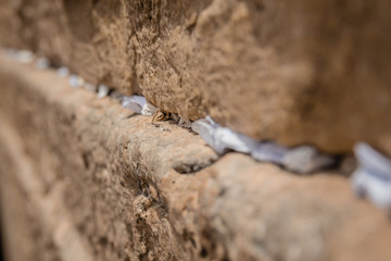 Notes to God in the cracks between the bricks of the Western Wall in the old city of Jerusalem Israel