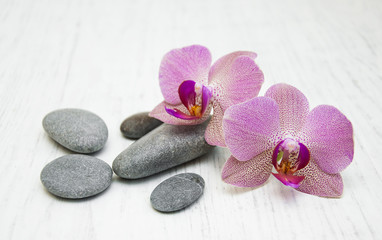Naklejka na ściany i meble Orchids and massage stones