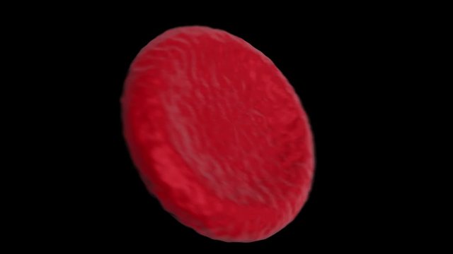 rotes Blutk&ouml;rperchen dreht sich im Loop 4K 3D Animation