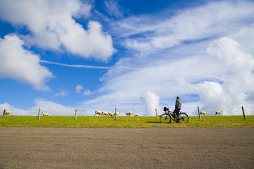 Mann fährt Rad auf dem Nordseeküstenradweg in den Niederlanden