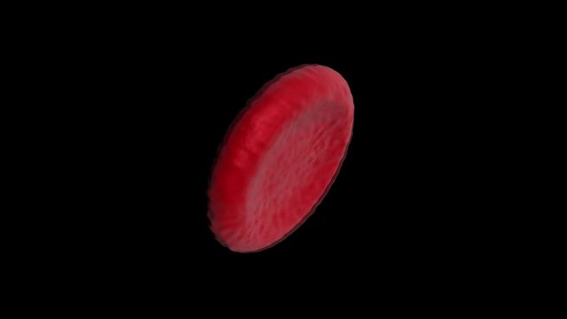 rotes Blutk&ouml;rperchen dreht sich im Loop 4K 3D Animation