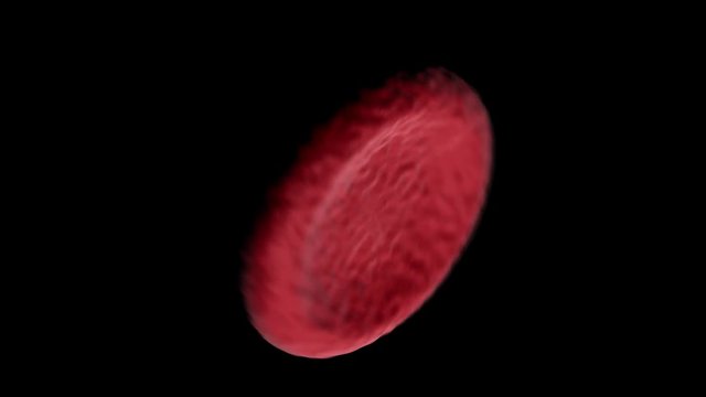 rotes Blutk&ouml;rperchen dreht sich im Loop 4K 3D Animation