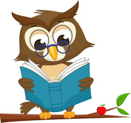 Obraz premium Owl reading a book on tree branch