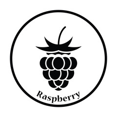 Icon of Raspberry