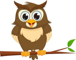 Obraz premium cute cartoon owl sitting on a tree branch