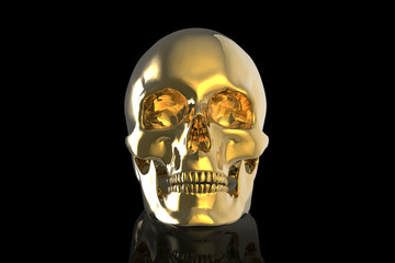 Human Skull / 3D Rendering