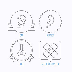 Lab bulb, medical plaster and ear icons.