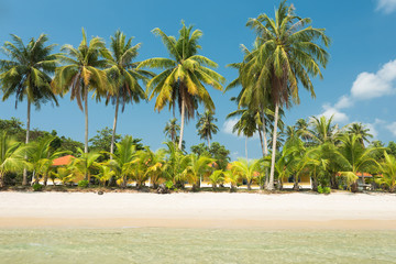 Beautiful exotic beach at Koh Kood island in Thailand