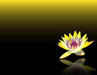 Yellow Lotus Reiki Chakra Flower