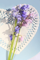White heart and bluebells flowers on light blue background