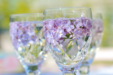 Lilac flowers in crystal wine glasses, close up