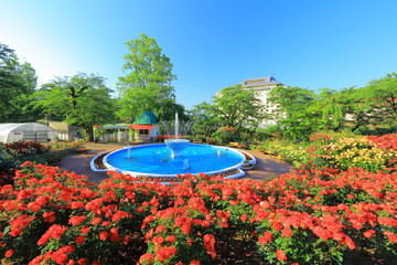 花巻温泉　バラ園