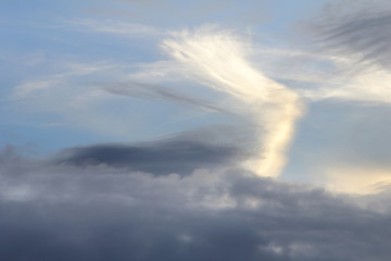 Fototapeta na wymiar Abstract background of natural clouds in the sky shaped like poultry