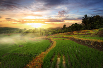 Beautiful landscape with colorful, light and shadow during sunset of the rice terraces(paddy field) and mountains at Mae-Jam Village , Chaingmai Province in Thailand