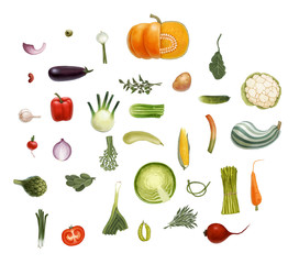 Hand-drawn vector vegetables, isolated on transparent background - tomato, spinach, vegetable marrow, corn, rosemary, green peas and beet olive eggplant salad onion leek, potato, carrot and so on