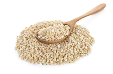 Uncooked barley grain seeds in wooden spoon and on white backgro