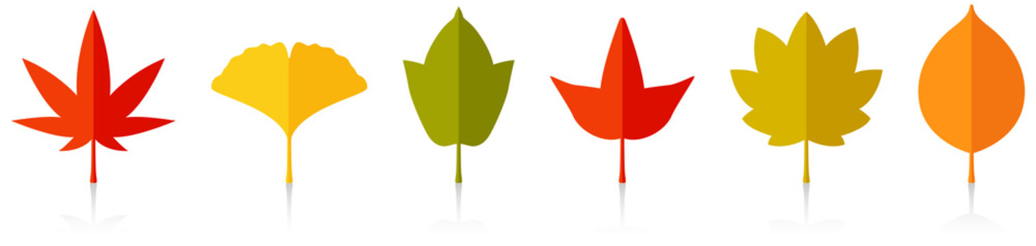 55 794 Best 落ち葉 Images Stock Photos Vectors Adobe Stock