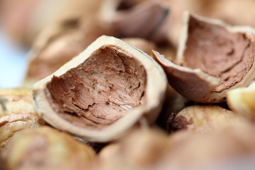 Close up of hazelnuts