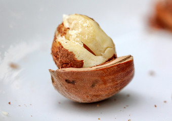 Close up of hazelnuts