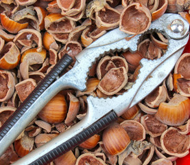 Close up of hazelnuts