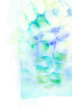 Watercolor illustration of fern.
