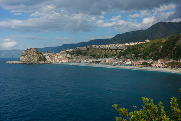 Fototapeta premium Scilla