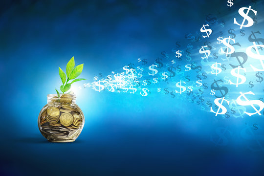Plant Growing In Savings Coins. Investment and Interest Concept