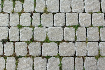 Old paving square shape