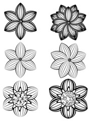 Simple Black and White Flowers