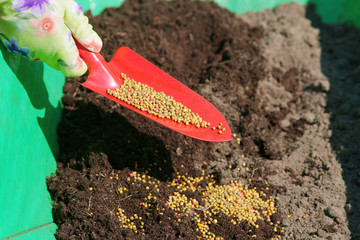 Obraz premium Fertilization of plants