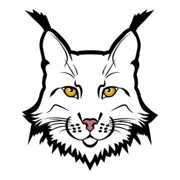 Lynx mascot logo. Head of lynx isolated vector illustration