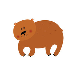 bear Bruin