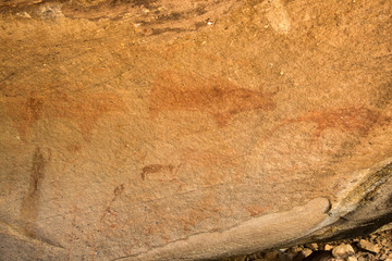  ancient paintings. Cow's Cave the cave people. National Park, P