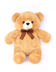 Image of toy teddy bear on white background