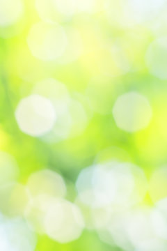 Abstract summer yellow, white and green background