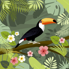 Toucan in the jungle, vector illustration, flat design