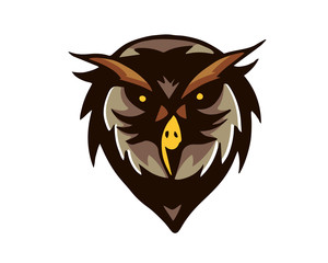 Fototapeta premium Leadership Animal Logo - Smart Owl Character