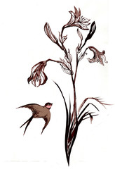 Hand painted illustration of martlet and lily flower in the eastern style.