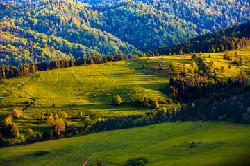 świt w Pieninach © Janusz Lipiński