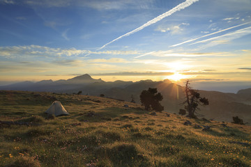 Tent in a mountain meadow during a tranquil, summer sunrise.