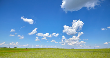 Panoramic picture of green field with windmills