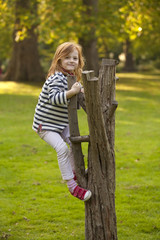 Climbing. A young girl happily climbs the remains fo a tree in the park. She finds it fun and is amused  that she is able.
