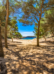 Spanien Mallorca Bucht Strand Sa Barca Trencada