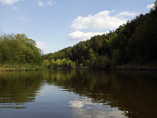 calm bend of river with forest